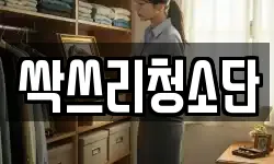 싹쓰리청소단