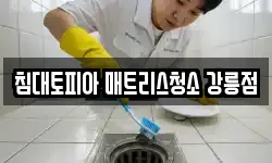 침대토피아 매트리스청소 강릉점