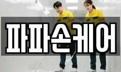 파파손케어
