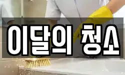 이달의 청소