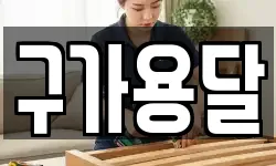 구가용달
