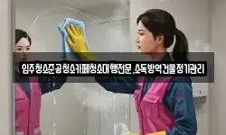 입주청소준공청소카페청소대행전문,소독방역건물정기관리