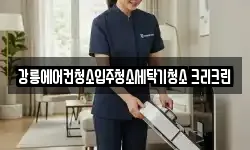 강원특별자치도 청소,입주청소,사무실청소,에어컨청소