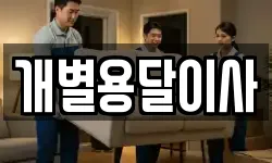개별용달이사