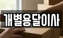 개별용달이사