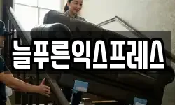 늘푸른익스프레스
