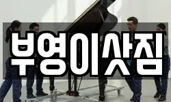 강원특별자치도 고성군 토성면 이사,용달이사,포장이사,원룸이사,보관이사