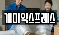 개미익스프레스