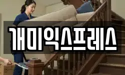 개미익스프레스