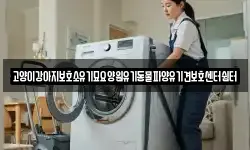 고양이강아지보호소유기묘요양원유기동물파양유기견보호센터쉼터