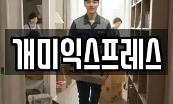 개미익스프레스