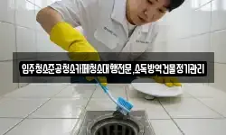 입주청소준공청소카페청소대행전문,소독방역건물정기관리