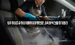 강원특별자치도 동해시 대구동 청소,입주청소,사무실청소,에어컨청소