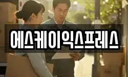 에스케이익스프레스