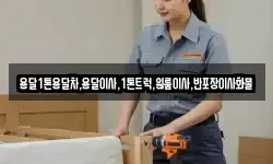 강원특별자치도 동해시 만우동 이사,용달이사,포장이사,원룸이사,보관이사