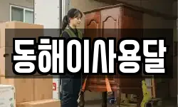 동해이사용달