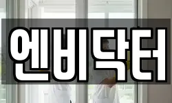 엔비닥터