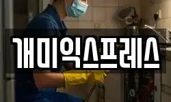 강원특별자치도 동해시 송정동 이사,용달이사,포장이사,원룸이사,보관이사