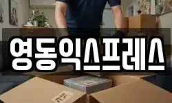 영동익스프레스