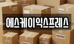 에스케이익스프레스