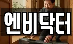 엔비닥터