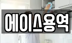 에이스용역