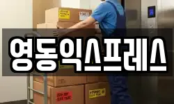 영동익스프레스