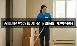 고양이강아지보호소유기묘요양원유기동물파양유기견보호센터쉼터