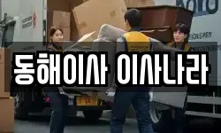 동해이사 이사나라