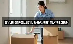 용달이사원룸투룸오피스텔이사사무실이사1톤트럭반포장이사