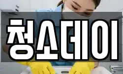 청소데이
