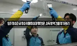 입주청소준공청소카페청소대행전문,소독방역건물정기관리
