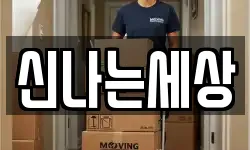 신나는세상