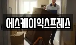 에스케이익스프레스