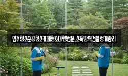 입주청소준공청소카페청소대행전문,소독방역건물정기관리