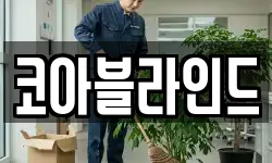 강원특별자치도 삼척시 남양동 청소,입주청소,사무실청소,에어컨청소