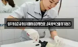 입주청소준공청소카페청소대행전문,소독방역건물정기관리
