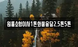 강원특별자치도 삼척시 등봉동 이사,용달이사,포장이사,원룸이사,보관이사