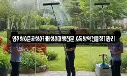 입주청소준공청소카페청소대행전문,소독방역건물정기관리