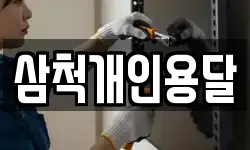 삼척개인용달
