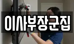 이사부장군집