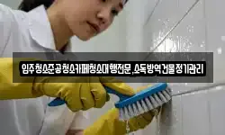 강원특별자치도 삼척시 신기면 청소,입주청소,사무실청소,에어컨청소