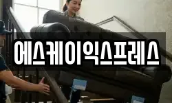 에스케이익스프레스