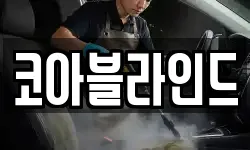 강원특별자치도 삼척시 적노동 청소,입주청소,사무실청소,에어컨청소