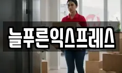 늘푸른익스프레스
