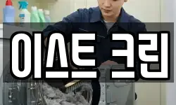 이스트 크린