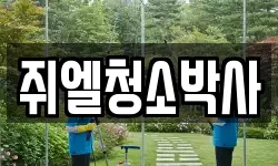 쥐엘청소박사