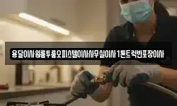 용달이사원룸투룸오피스텔이사사무실이사1톤트럭반포장이사