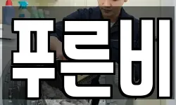 강원특별자치도 속초시 금호동 청소,입주청소,사무실청소,에어컨청소