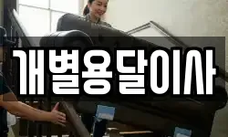 개별용달이사